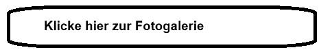 Fotogalerie.jpg  